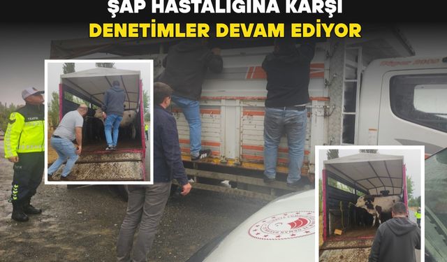 Banaz’da Şap Hastalığına Karşı Ortak Denetim