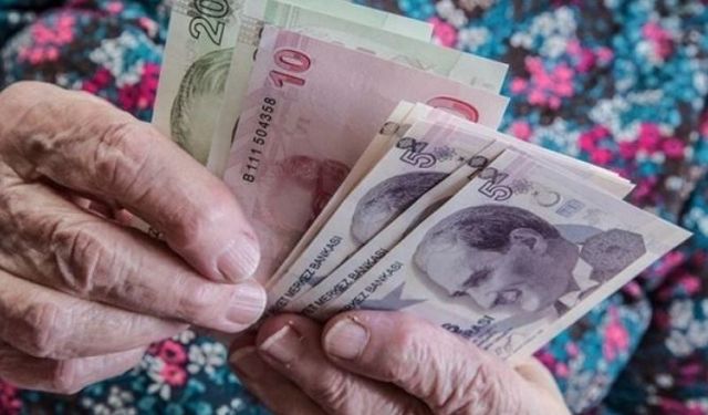 Dünyanın en pahalı baharatı 1 gramı 500 TL