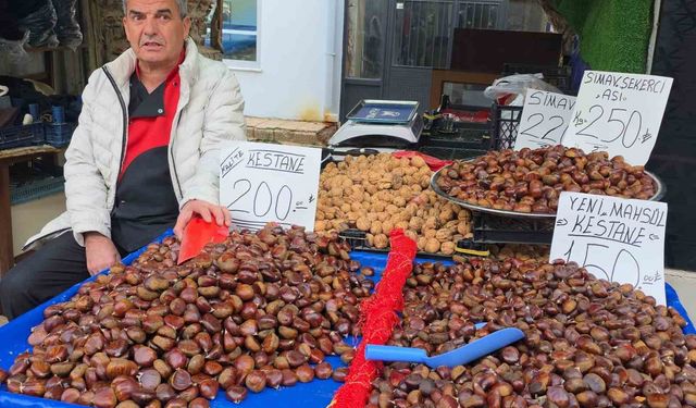 Simav kestanesi kış aylarının favorisi oluyor