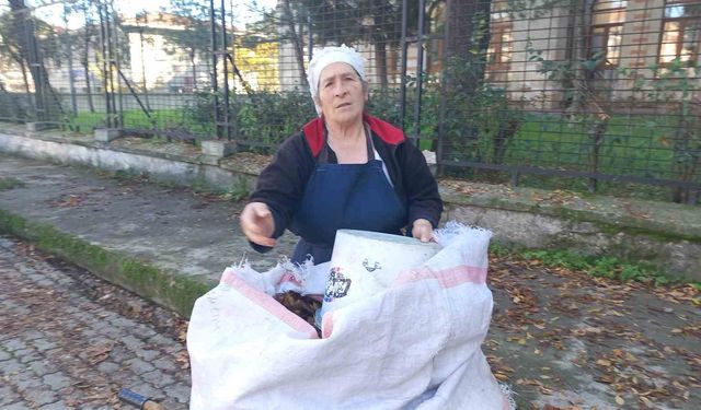 Yaşlı kadın, 34 yıldır sonbaharda düşen yaprakları gübreye dönüştürüyor