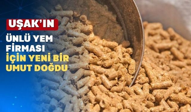 Uşak’ın Köklü Firmasına Bir yıl Kalıcı Konkordato Kararı Verildi