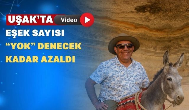 TÜİK Uşak’ta kaç eşek kaldığını açıkladı