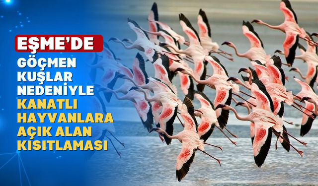 Eşme'de Göç Alarmı: Kanatlılar Kapalı Alanda Barınacak