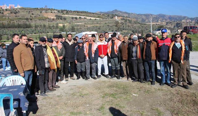 Deve güreşleri için Aydın'da toplandılar