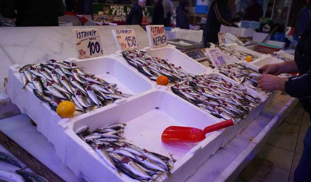 Hamsi yerini istavrite bıraktı