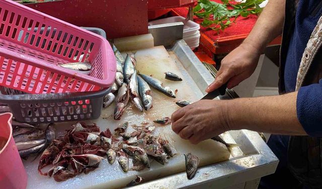 Uzmanı doğrusunu anlattı: 'Gözüne bakıp tazeliğini anlarım diyen yalan söylüyordur'