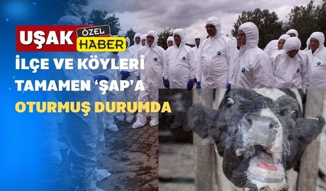 Şap Hastalığı Yüzünden Uşak Hayvan Pazarı Açılamıyor