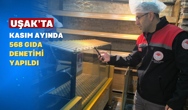 Ekipler Kasım Ayı Boyunca Sahadaydı: Denetim Raporu Açıklandı