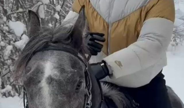 Kar kovboyunden karlar üzerinde atlı şov