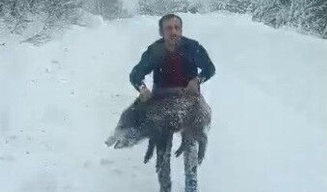 Karlı yolda domuzu elleriyle yakaladı