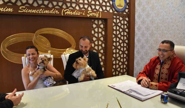 Köpekleriyle birlikte nikah kıydılar