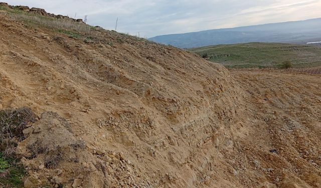 Koruma altındaki alanda kazı yapan 9 kişi gözaltına alındı