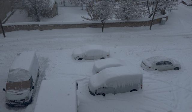 O ilçede kar hayatı durdurdu