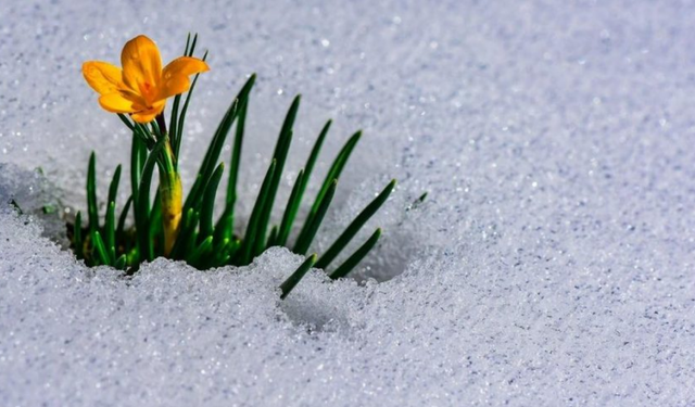 2026 Cemre Tarihleri Belli Oldu!