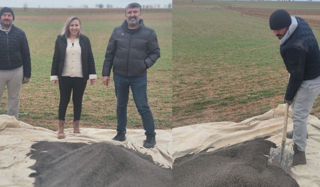 Uşak ‘Kara Altın’ üretiminde Türkiye birincisi