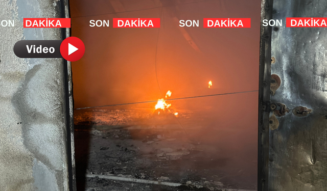 Eşme'de tavuk çiftliğinde yangın çıktı