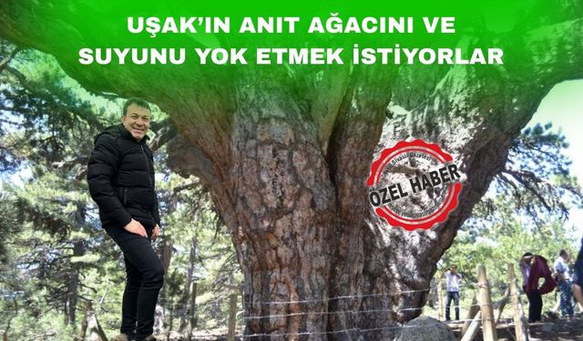 Uşak’ın sembolü “Anıt Ağacı’ yok etmek istiyorlar