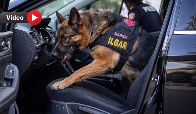 Uşak Emniyetinin sevimli dostu ölüm tacirlerine göz açtırmıyor