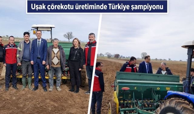Çörekotu üretiminde şampiyon Uşak'ta yazlık üretim başladı