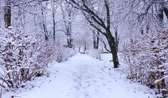Badılcamı Köyünde Bayramda Kar Sürprizi
