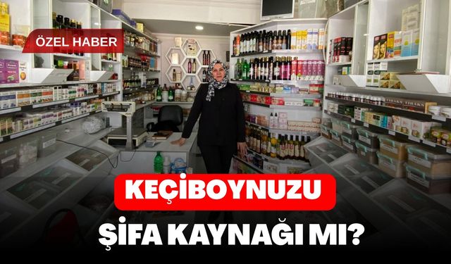 Keçiboynuzu Şifa Kaynağı mı ?