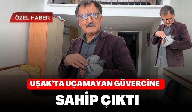 Uşak’ta Uçamayan Güvercine Sahip Çıktı