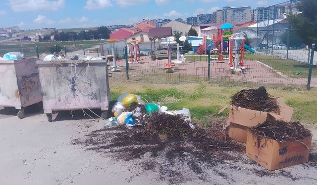 Uşak’ta Çöpler Günlerdir Toplanmıyor, Tepkiler Büyüyor