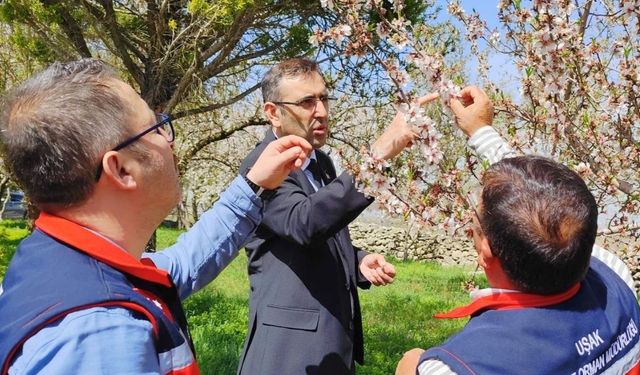 Uşak Tarım ve Orman Müdürlüğü Ekipleri 24 saat Üreticinin Yanında