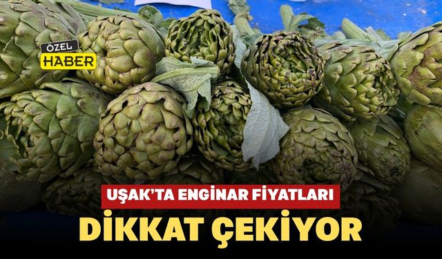 Uşak’ta Enginar Fiyatları Dikkat Çekiyor