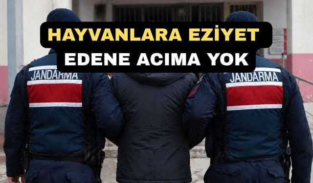 Uşak’ta Bir köpeğe İşkence Eden Fikret U. Tutuklandı