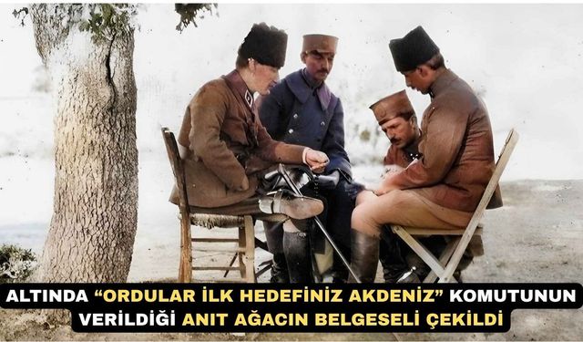 Uşak’ta Kurtuluş Savaşı Tanığı Ağacın Belgeseli Çekildi