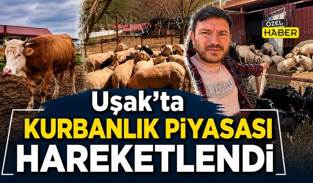 Uşak’ta Kurbanlık Piyasası Hareketlendi