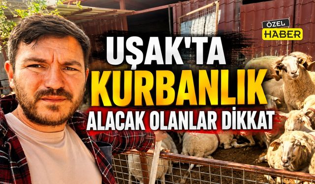 Uşak’ta Kurbanlık Alacak Olanlar Dikkat