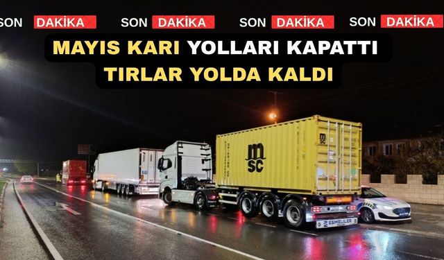 Kar nedeniyle Afyonkarahisar-Uşak Karayolu Trafiğe Kapandı