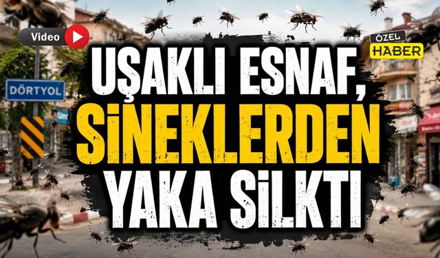 Uşaklı Esnaf Sineklerden Yaka Silkti