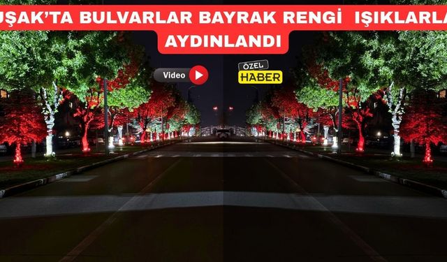 Uşak’ta Ağaçlar Kırmızı-Beyaz Işıklarla Aydınlanıyor