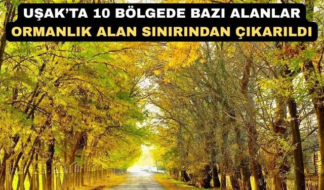 Uşak’ta 10 Bölgede Bazı Alanlar Orman Dışına Çıkarıldı