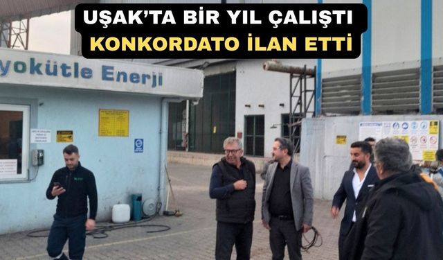 Uşak’ta Biyokütle Enerji Üreten Firma Konkordato İlan Etti