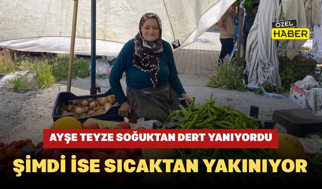 Ayşe Teyze Soğuktan Dert Yanıyordu, Şimdi İse Sıcaktan Yakınıyor