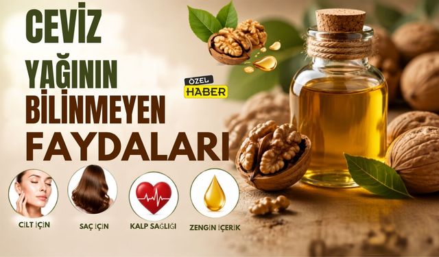 Ceviz Yağının Bilinmeyen Faydaları