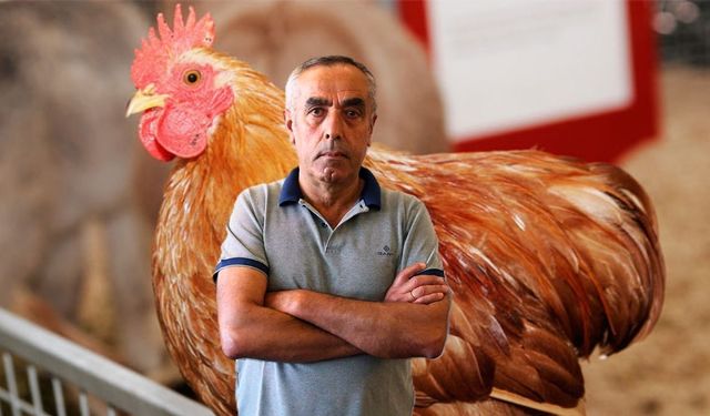 Uşak’ın Beyaz Et Devinden Sevindirici Bir Haber