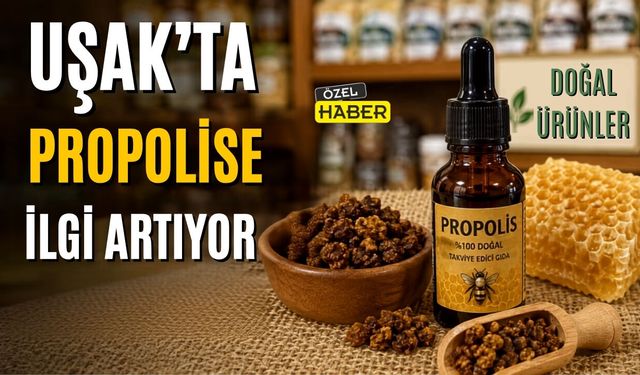 Uşak’ta Propolise İlgi Artıyor