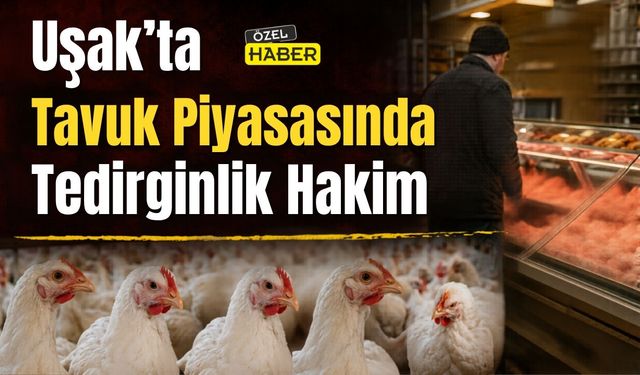 Uşak’ta Tavuk Piyasasında Tedirginlik Hakim