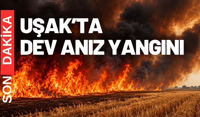 Uşak’ta Çok büyük bir anız yangını başladı