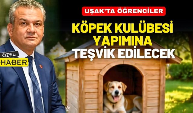 Uşak’ta öğrenciler köpek kulübesi yapımına teşvik edilecek