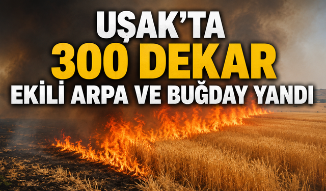 Uşak’ta 300 dekar ekili arpa ve buğday yandı