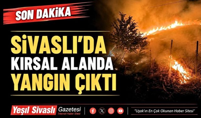 Uşak’ta Kırsal Alanda Yangın; 10 dönüm ağaçlık alan yandı