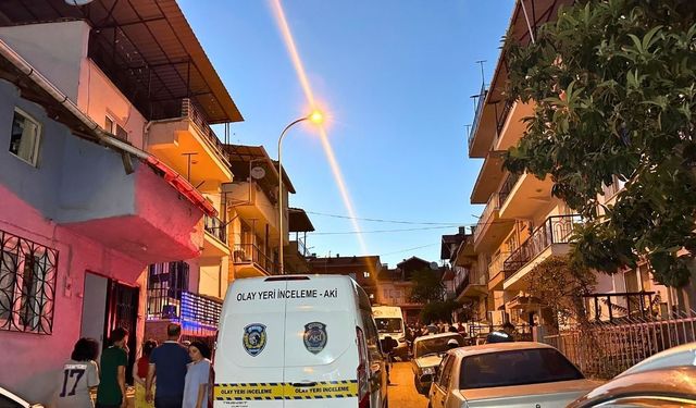 Uşak'ta dut toplamak isterken canından oldu