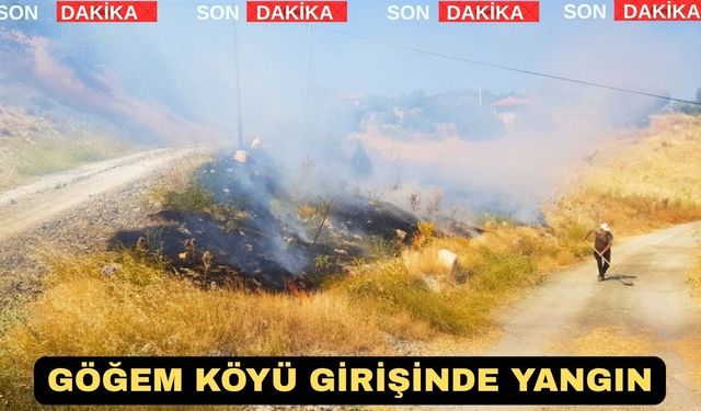 Uşak'ta Bir Köy Daha Alevlere Teslim Oluyordu