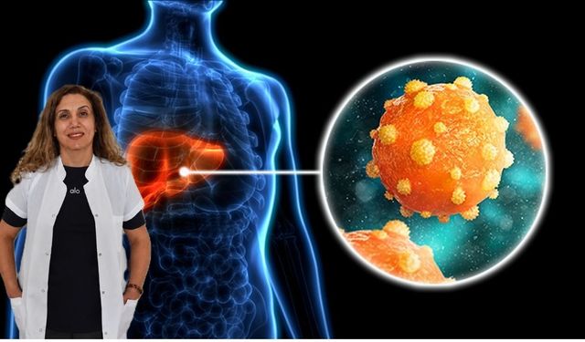 Uşak'ta Sessiz Tehlike: Hepatit İçin Kritik Uyarı